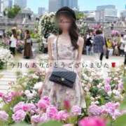 ヒメ日記 2026/05/21 08:49 投稿 ♡まりあ♡ Premier(プレミア)