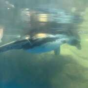 ヒメ日記 2026/06/30 16:05 投稿 みみ バイオレンス