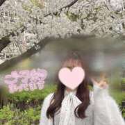 ヒメ日記 2026/04/03 19:33 投稿 ゆみ 見学娘