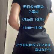 ヒメ日記 2026/07/19 19:26 投稿 森はな ミセスファンタジー