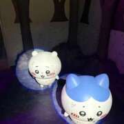 ヒメ日記 2026/02/25 10:19 投稿 【S】双葉く〇み E+五反田