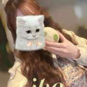 Kiho 大好物🩷 THE MUSE