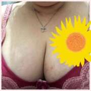 はなこ はじめまして！ 水戸人妻花壇