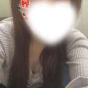 ヒメ日記 2026/02/09 13:02 投稿 あお ホワイトベル