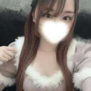 あお にゃーん ホワイトベル