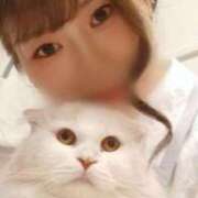 かの 一日中雨🩷 池袋千姫