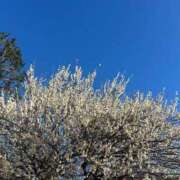 園田(そのだ) 18日ありがとう 八王子人妻城