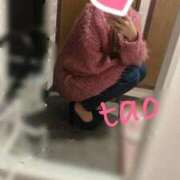 ヒメ日記 2026/02/17 12:21 投稿 たお 天空のマット　熊本店