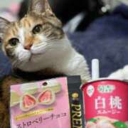 ヒメ日記 2026/03/18 12:19 投稿 ゆきな THE ESUTE 渋谷