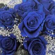 ヒメ日記 2026/03/30 01:48 投稿 のりか 川越おかあさん