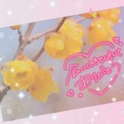 ヒメ日記 2026/02/12 01:25 投稿 すみれ【Ｒ】 乱密(ランミツ)