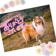 ヒメ日記 2026/02/24 07:45 投稿 すみれ【Ｒ】 乱密(ランミツ)