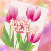 ヒメ日記 2026/02/26 03:05 投稿 すみれ【Ｒ】 乱密(ランミツ)