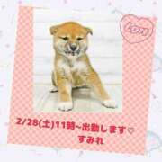 ヒメ日記 2026/02/27 18:55 投稿 すみれ【Ｒ】 乱密(ランミツ)