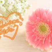 ヒメ日記 2026/02/28 19:25 投稿 すみれ【Ｒ】 乱密(ランミツ)