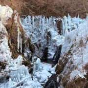 みな(〇〇店からAGEHAに移籍) 学習 ニューティアラ