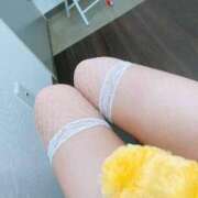 ヒメ日記 2026/02/24 19:02 投稿 つばき マネキン神宮店