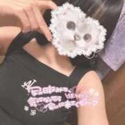 ヒメ日記 2026/03/01 17:12 投稿 つばき マネキン神宮店