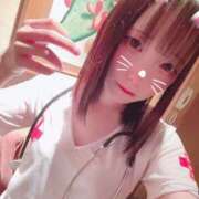 ヒメ日記 2026/03/12 19:02 投稿 つばき マネキン神宮店