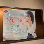 ヒメ日記 2026/04/13 13:12 投稿 つばき マネキン神宮店