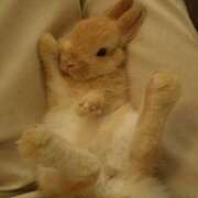 ヒメ日記 2026/02/16 22:42 投稿 宇佐美 HERMINE-エルミネ-