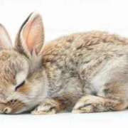 ヒメ日記 2026/02/25 00:28 投稿 宇佐美 HERMINE-エルミネ-