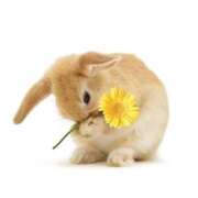 ヒメ日記 2026/03/03 20:16 投稿 宇佐美 HERMINE-エルミネ-