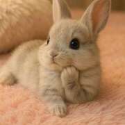 ヒメ日記 2026/04/01 21:19 投稿 宇佐美 HERMINE-エルミネ-