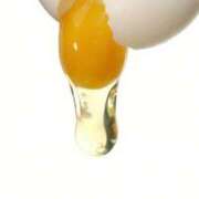 ヒメ日記 2026/04/26 08:58 投稿 宇佐美 HERMINE-エルミネ-