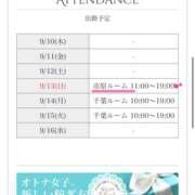 ヒメ日記 2026/09/10 23:18 投稿 宇佐美 HERMINE-エルミネ-