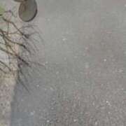 ヒメ日記 2026/03/19 08:42 投稿 ゆり clubさくら京橋店