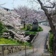 ヒメ日記 2026/04/07 11:44 投稿 ゆり clubさくら京橋店