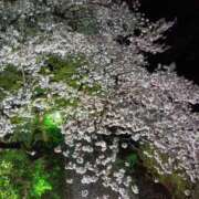 ヒメ日記 2026/04/10 11:54 投稿 ゆり clubさくら京橋店