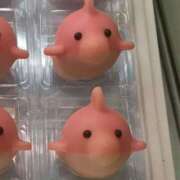 ヒメ日記 2026/05/12 08:54 投稿 ゆり clubさくら京橋店