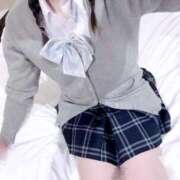 ヒメ日記 2026/02/08 12:29 投稿 こゆき ウルトラハピネス