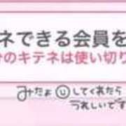 ヒメ日記 2026/02/15 12:20 投稿 ミサ【体験入店】 川崎美女革命