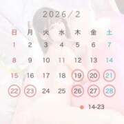 ヒメ日記 2026/02/17 19:04 投稿 ミサ【体験入店】 川崎美女革命