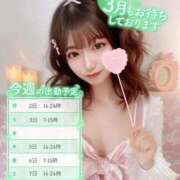 ヒメ日記 2026/02/25 20:43 投稿 ミサ【体験入店】 川崎美女革命