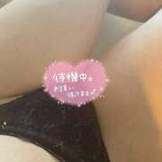 ヒメ日記 2026/02/07 16:37 投稿 みるく 即アポマダム～名古屋店～