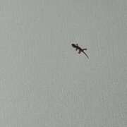 なる 🐳基本隠キャなので…🐳 水戸ソープランド　水戸スリーナイン(9990)