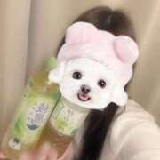 ヒメ日記 2026/03/12 13:01 投稿 与田すみか 池袋パラダイス