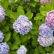 ヒメ日記 2026/06/23 04:32 投稿 ひより エマニエル