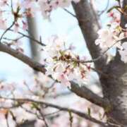 ヒメ日記 2026/03/29 13:18 投稿 ゆう Remote Spa Premium(リモートスパプレミアム)