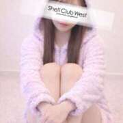 ヒメ日記 2026/02/17 11:00 投稿 桜井　はるか シェルクラブ・ウエスト