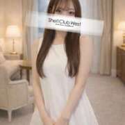 ヒメ日記 2026/02/19 08:45 投稿 桜井　はるか シェルクラブ・ウエスト