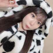 ヒメ日記 2026/02/13 10:10 投稿 せい JAPAN CLUB BUNNY LOUNGE