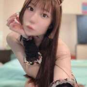 ヒメ日記 2026/03/25 21:11 投稿 せい JAPAN CLUB BUNNY LOUNGE