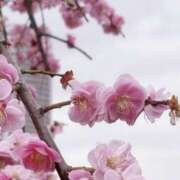 ヒメ日記 2026/02/25 14:34 投稿 かれん Vitamin〜ビタミン〜