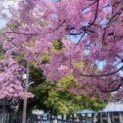 ヒメ日記 2026/03/05 15:20 投稿 吉瀬　ひなり エテルナ京都