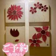 ヒメ日記 2026/04/16 19:49 投稿 吉瀬　ひなり エテルナ京都